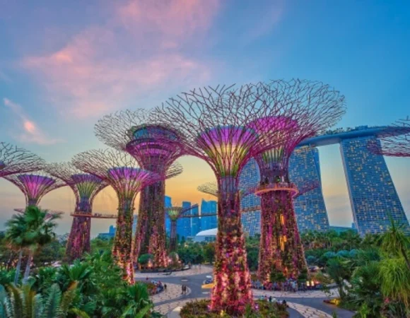 Singapore In Pocket
