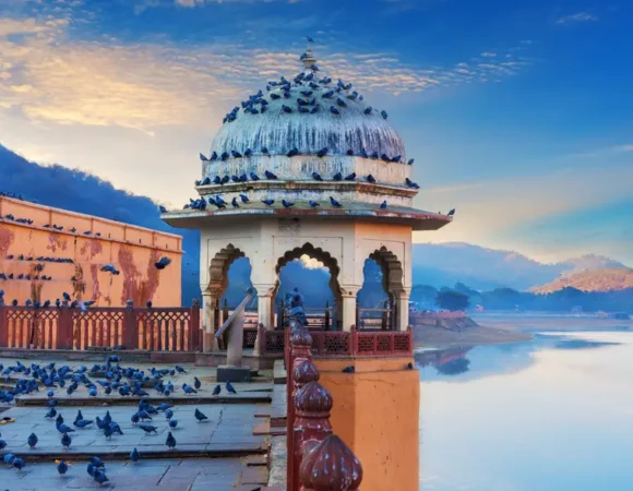 Jaipur-Ranthambore Special