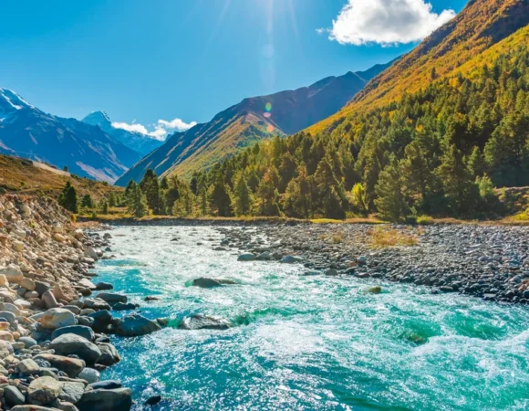 Himachal Honeymoon Special